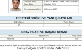 ydusdahiliyesekizincisisevkicangunes