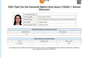 2. Özlem Necipoğlu