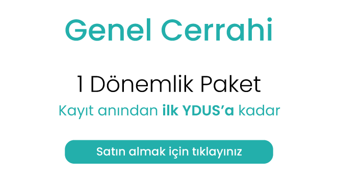 1donemlik