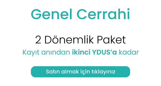 2donemlik